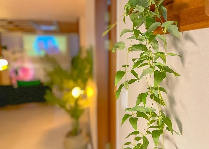 Wood Sage House, 3ldk, Station Ktx 1 Minute Distance, *
